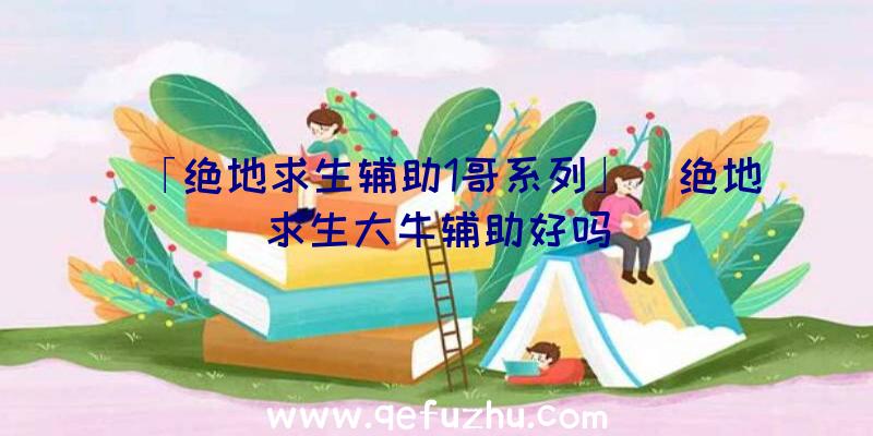 「绝地求生辅助1哥系列」|绝地求生大牛辅助好吗